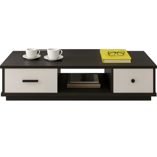 Table basse moderne en bois – Finition bicolore avec rangements